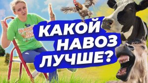 ВИДЫ НАВОЗА: С КАКИМ БЫТЬ ОСТОРОЖНЕЕ