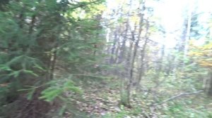 МУТИМ ДЕНЬГИ НА МЕТАЛЛЕ