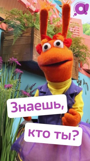 Жужа точно знает, как поддержужать❤