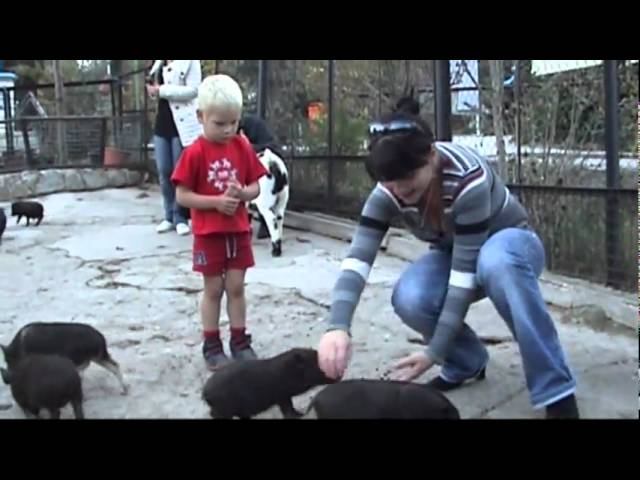 Project of Пнд 24 Янв 2011 09:40:57 смотреть онлайн