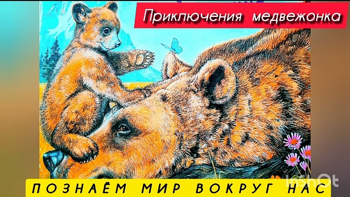 ПРИКЛЮЧЕНИЯ МЕДВЕЖОНКА / познаём мир вокруг нас/ смотреть онлайн