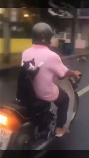 Пушистый рюкзачок