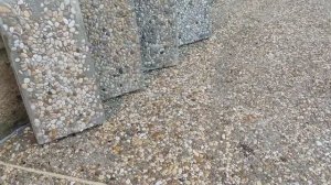 Бетонный пол для гаража и навеса. Что такое мытый бетон и шлифованный?