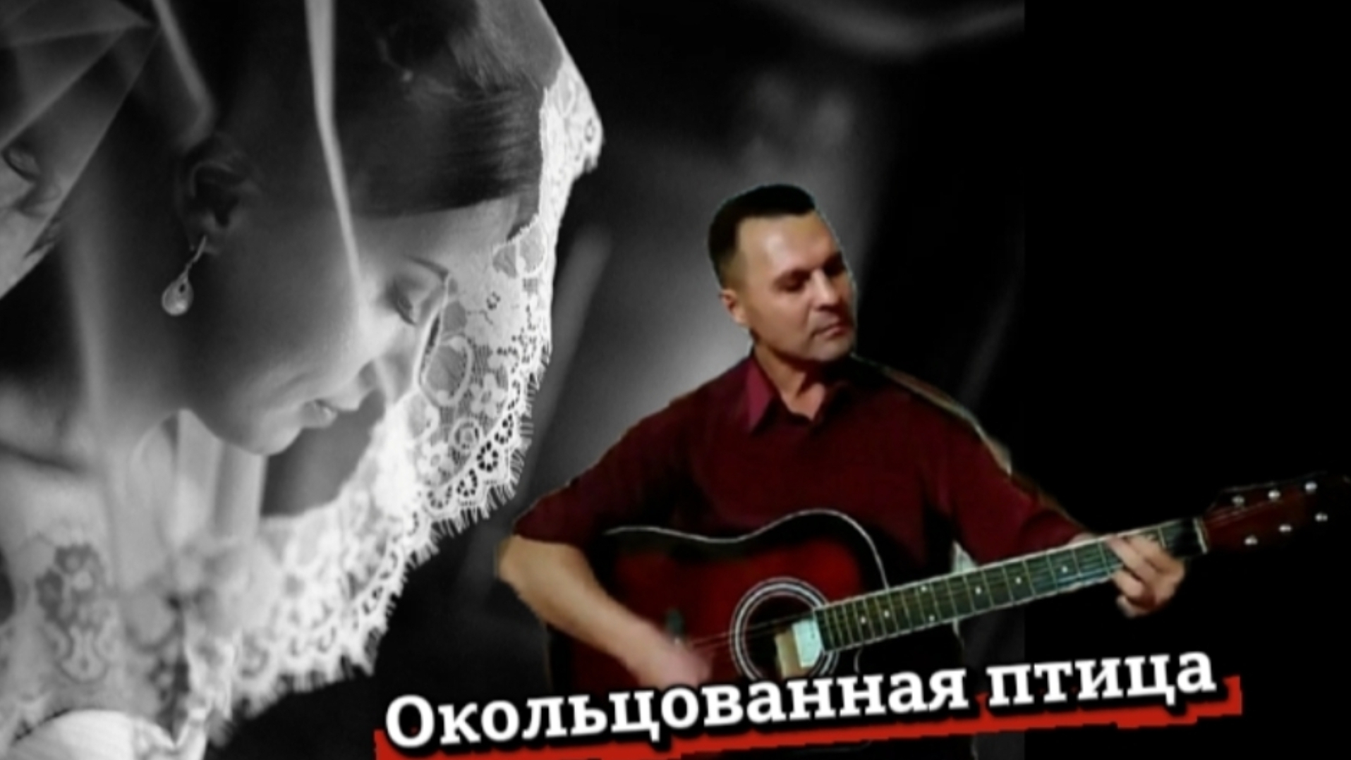 Петлюра - Окольцованная птица - на гитаре