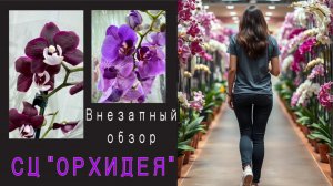 Я бы хотела все 5-7 но взяла одну🫶🤩😍КРЕМЕНЬ! потрясающий ассортимент!