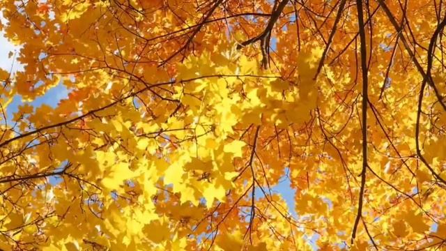 Emu-play-Ты исчезала