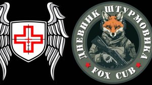 Штурмовая работа (Юрий Евич, Вадим Белов "Дневник штурмовика")