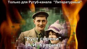 Куст сирени: краткое содержание