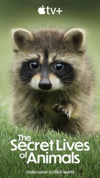 Тайная жизнь животных «Старение»