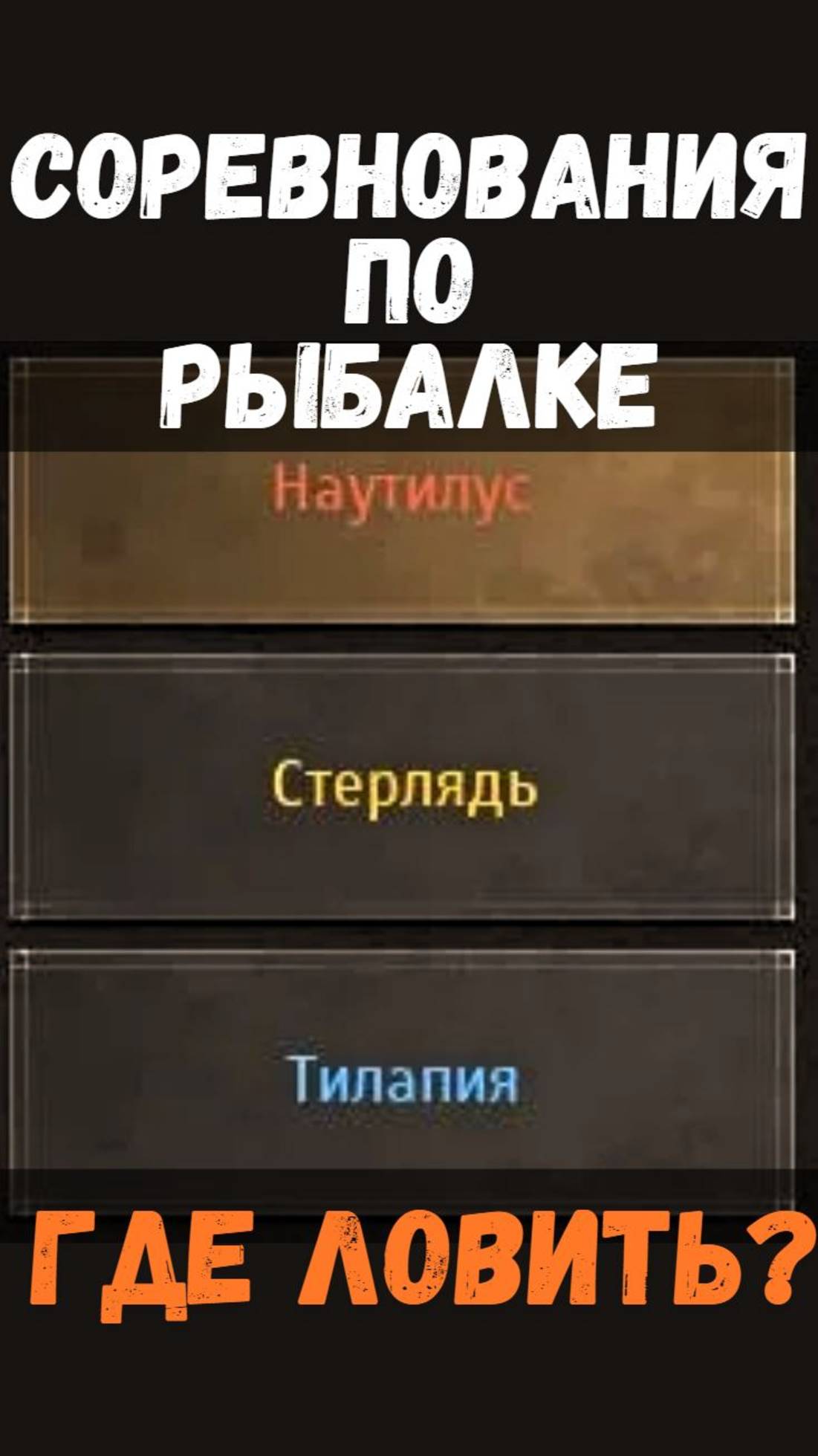 [BDO]🎣НАУТИЛУС / СТЕРЛЯДЬ / ТИЛАПИЯ - ГДЕ ЛОВИТЬ? СОРЕВНОВАНИЯ #fishing #bdo смотреть онлайн