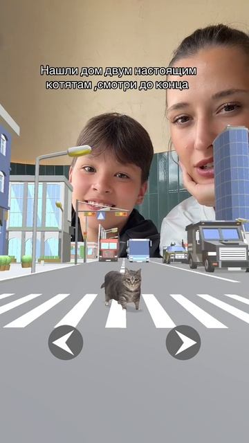 Помогайте бездомным животным !!! смотреть онлайн