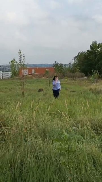 Работа риелтора