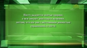 Слушаем святых отцов