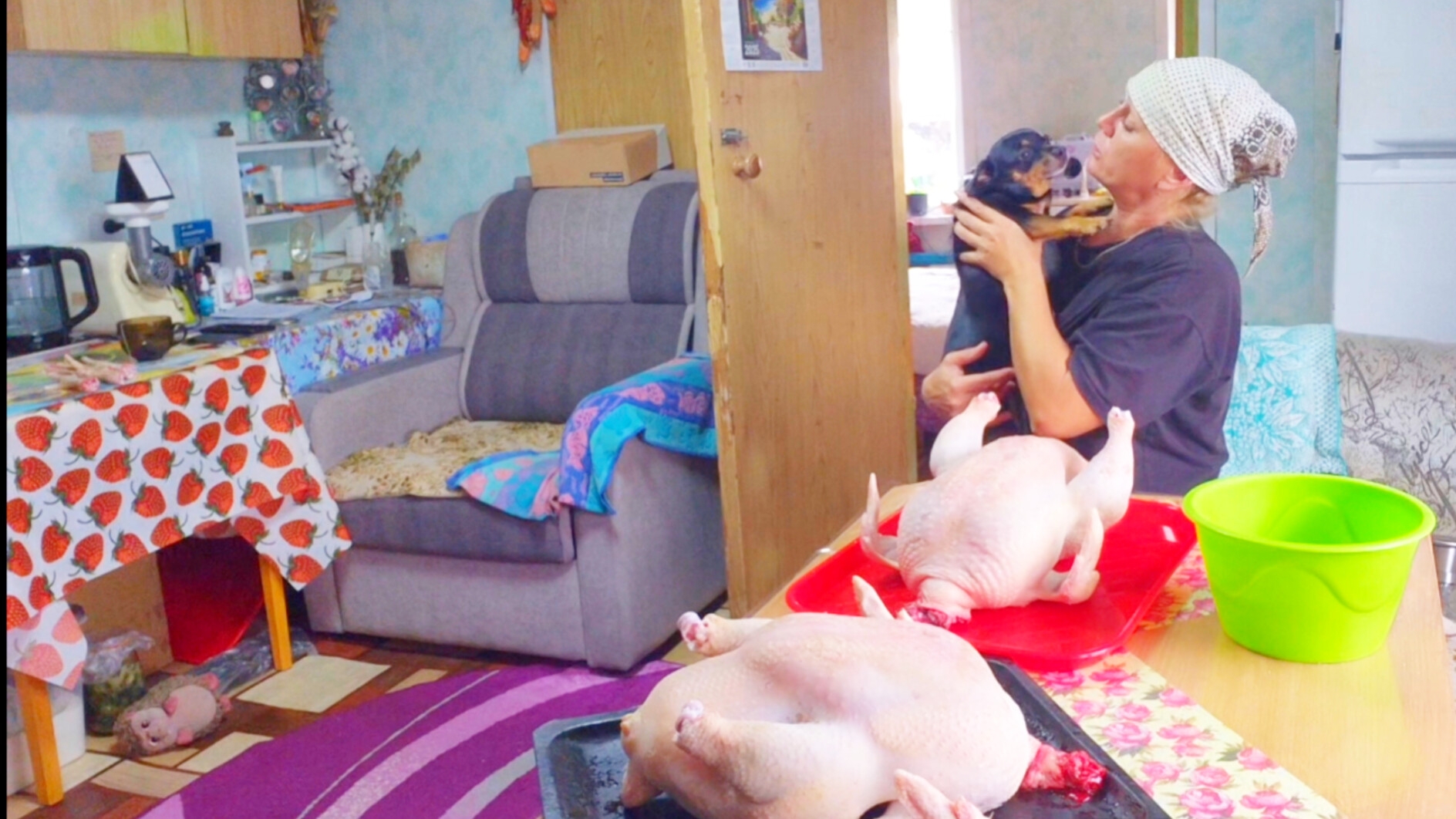 Отдаю в приют для Животных,Глистогоню поросят,закрыла сезон бройлеров,выключила и загнула матом смотреть онлайн