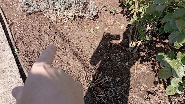 по летнему тепло...6 октября смотреть онлайн