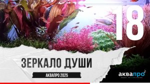 18. Зеркало души #АкваПро