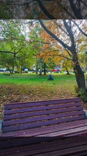 Золотая осень в Карелии. Петрозаводск 2025 г. смотреть онлайн