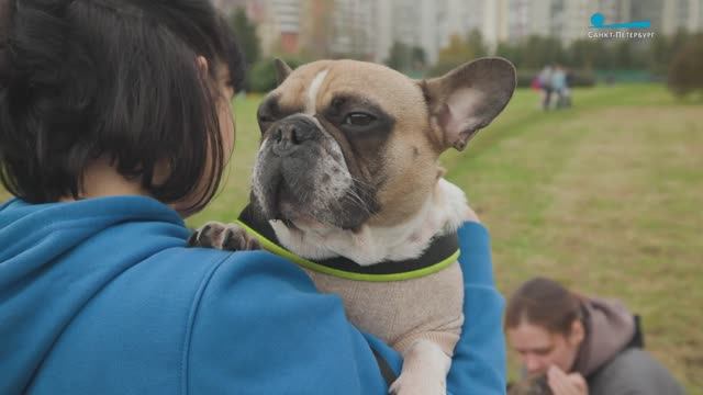 «Необыкновенный кросс»: забег с собаками в Полюстровском парке