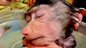 Мы просто с Владом глаз не можем отвести от Анфисы, СИДИМ УМИЛЯЕМСЯ)))