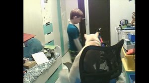 играем в роблокс