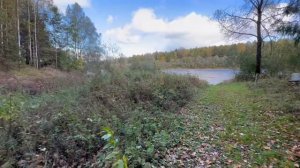 Бахарево (2025)