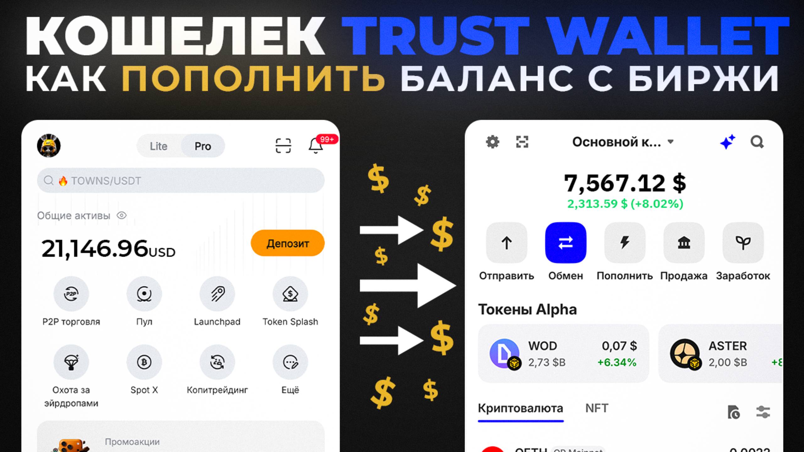 Как Пополнить Кошелек Trust Wallet с Крипто Биржи или Другого Кошелька смотреть онлайн