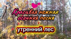 Песня про ОСЕННИЙ ЛЕС.