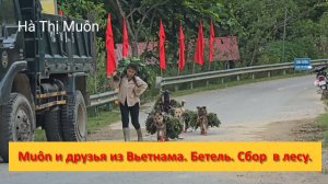 Muôn и друзья из Вьетнама. Бетель. Сбор  в лесу.