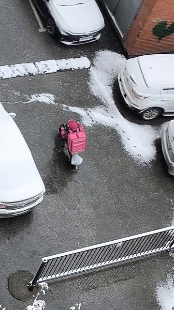 Доставщику снег не помеха! смотреть онлайн