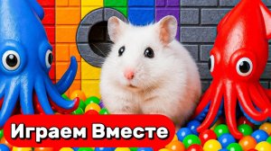 ЛАБИРИНТЫ СО СЛОЖЫНМИ ЛОВУШКАМИ И МОНСТРАМИ ДЛЯ УМНОГО ХОМЯКА 🐹 ВИДЕО ПРО ХОМЯКА ДЛЯ ДЕТЕЙ