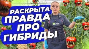 ПРАВДА ПРО ГИБРИДЫ