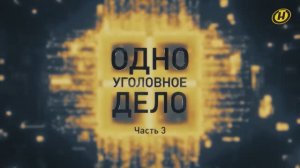 Протесты в Беларуси: кого толкали на теракты и кто главный организатор/ ОДНО УГОЛОВНОЕ ДЕЛО. 3 серия