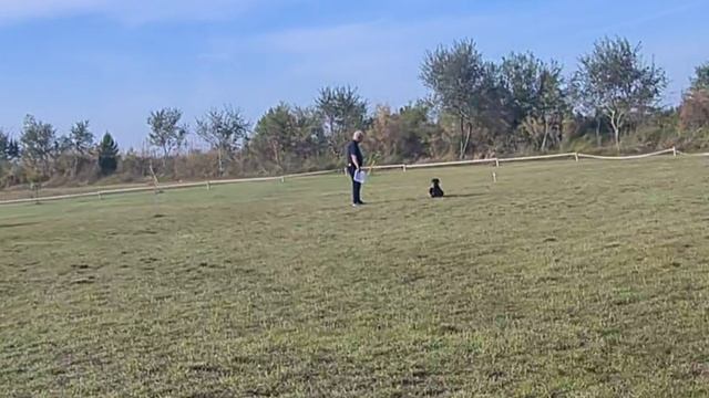 Smart Wood Hills ILARITA ZTP V1A