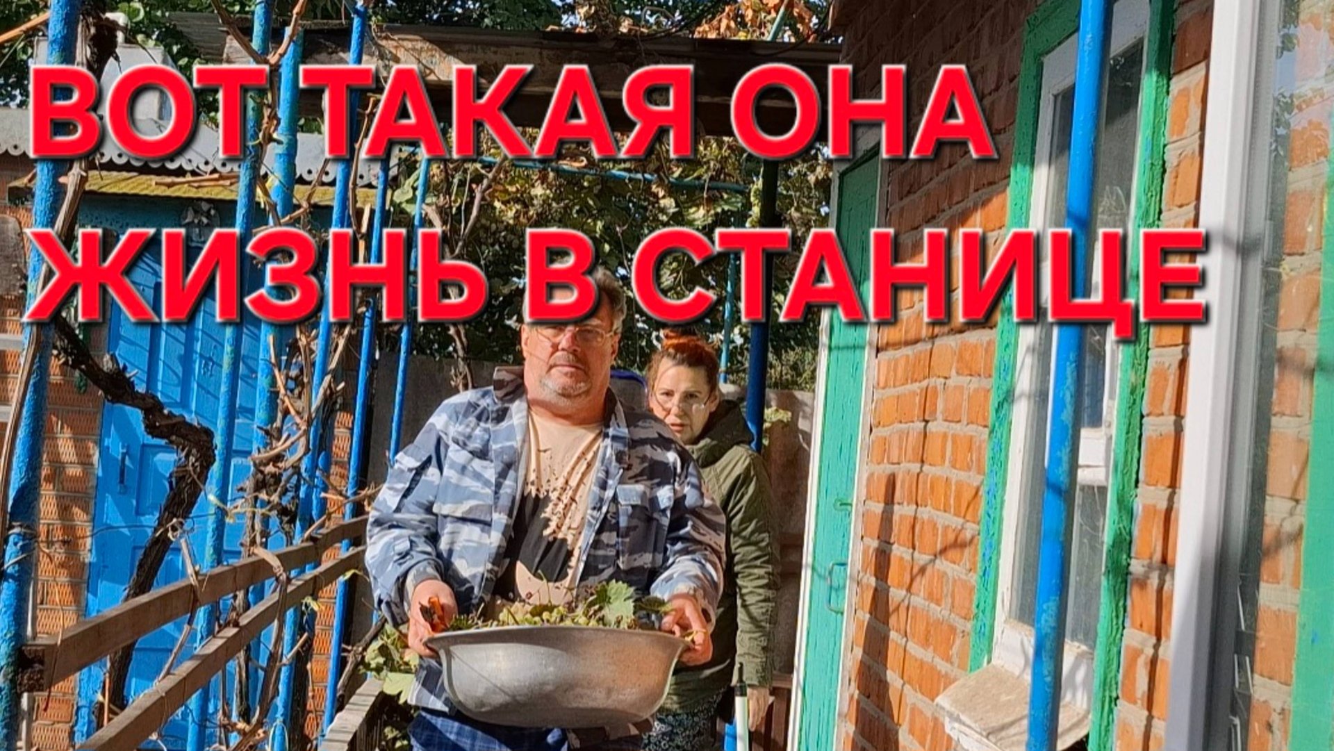 802 Переехали из Краснодара в станицу. Простая Станичная жизнь смотреть онлайн