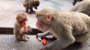 То чистит дочке глаза, то луком в них тычет, то со спины скидывает. Мила Сан ОЧЕНЬ СТРАННАЯ мать!