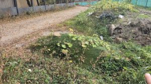 Рогожская слобода открыла нам свои древние тайны. 2 часть. Сталкеры. Символика. Глинопотоп.