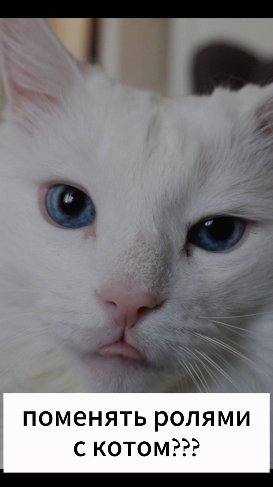 Место встречи (2 серия) Евгения Суркова.