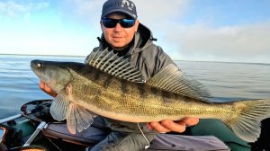 СУДАК, БЕРШ, ОКУНЬ, КЛЮЕТ ВСЕ И НА ВСЕ. Рыбалка на спиннинг и в отвес с лодки осенью 2025.