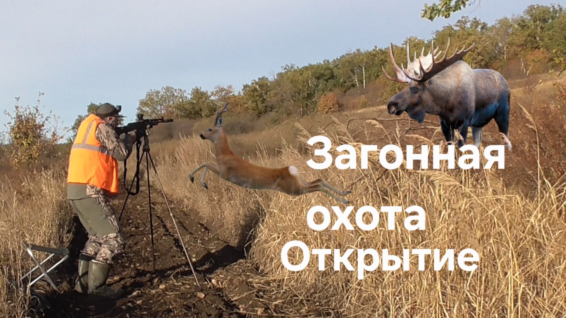 Загонная охота Лось, косули, открытие 2025. Сайга 308 рулит. смотреть онлайн