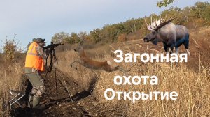 Загонная охота Лось, косули, открытие 2025. Сайга 308 рулит.