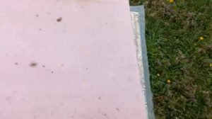 Правильное расширения гнезда Без Последствий!!!