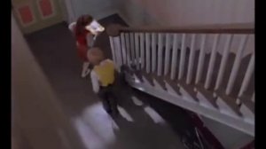 33 коровы, 1 час