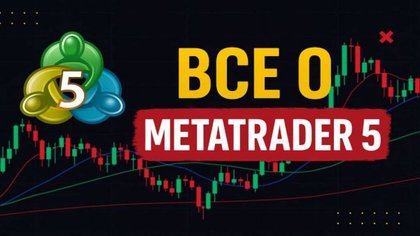 MetaTrader 5 — Полный Гид | Одно видео вместо 100 уроков