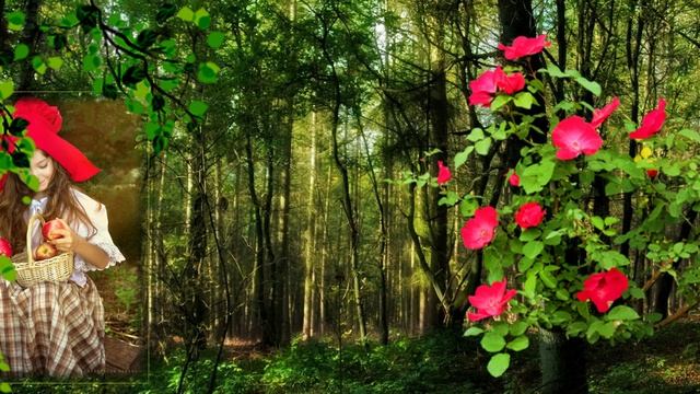 Мой ролик ДЕТСКИЙ ПРОЕКТ КРАСНАЯ ШАПОЧКА.mp4 смотреть онлайн