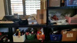 По чуть-чуть