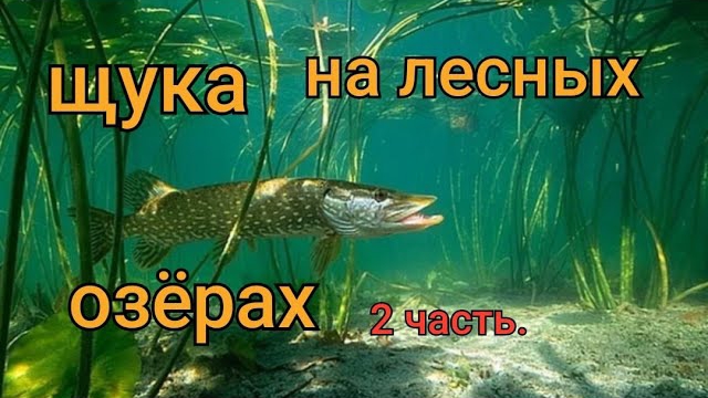 рыбалка на озере 2 часть.