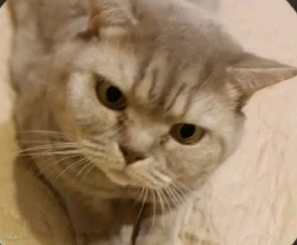 й смотреть онлайн