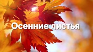 Осенние листья