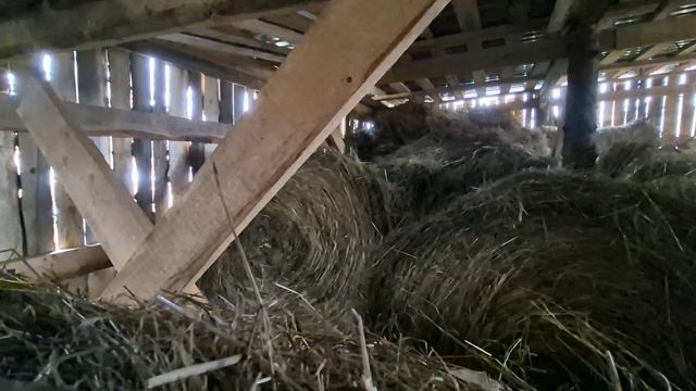 поехали в город/ катали сено/ обрезала малину смотреть онлайн