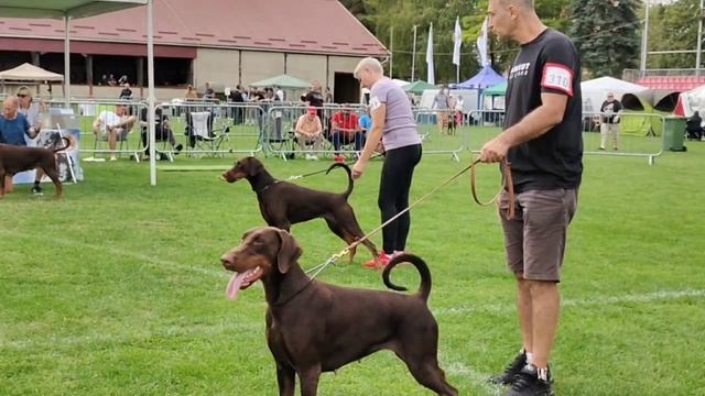 IDC 2025 Smart Wood Hills Ilarita рабочий класс